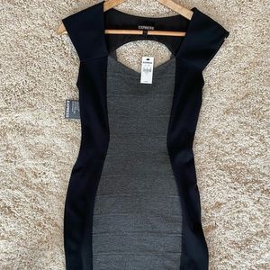 Express bodycon dress